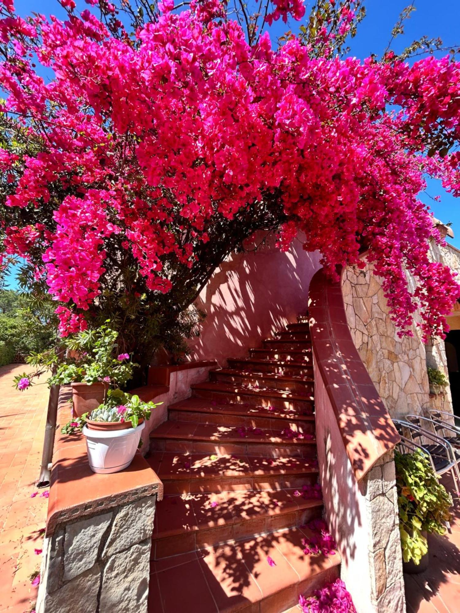 Hotel Fertilia Exterior foto